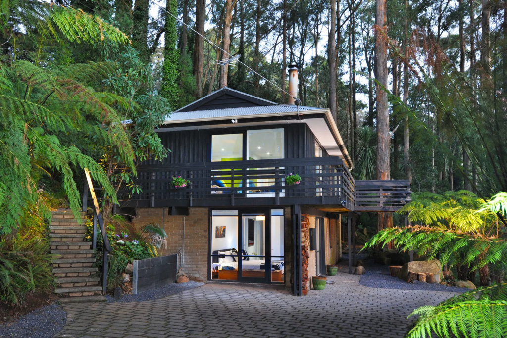 Misty Woods Retreat - Olinda - Général