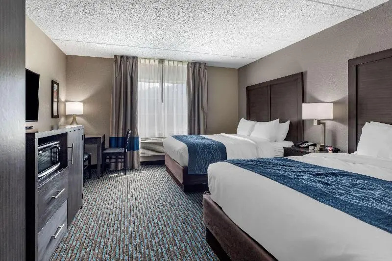 Quadruple Suite