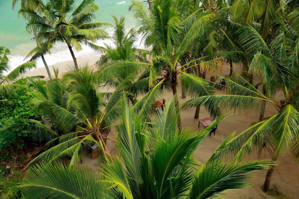 Ceylon Sea Hotel - Général