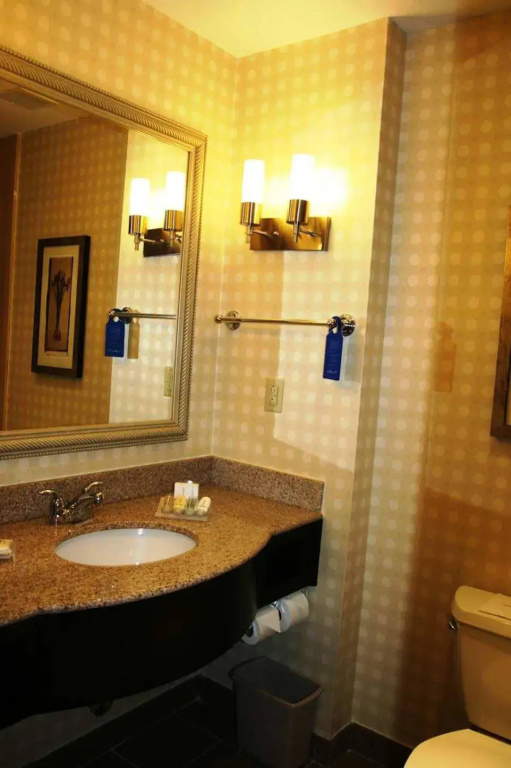 Hilton Garden Inn Houston West Katy - Général
