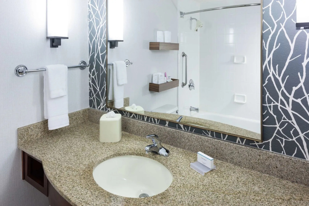 Hilton Garden Inn Sacramento/South Natomas - Général
