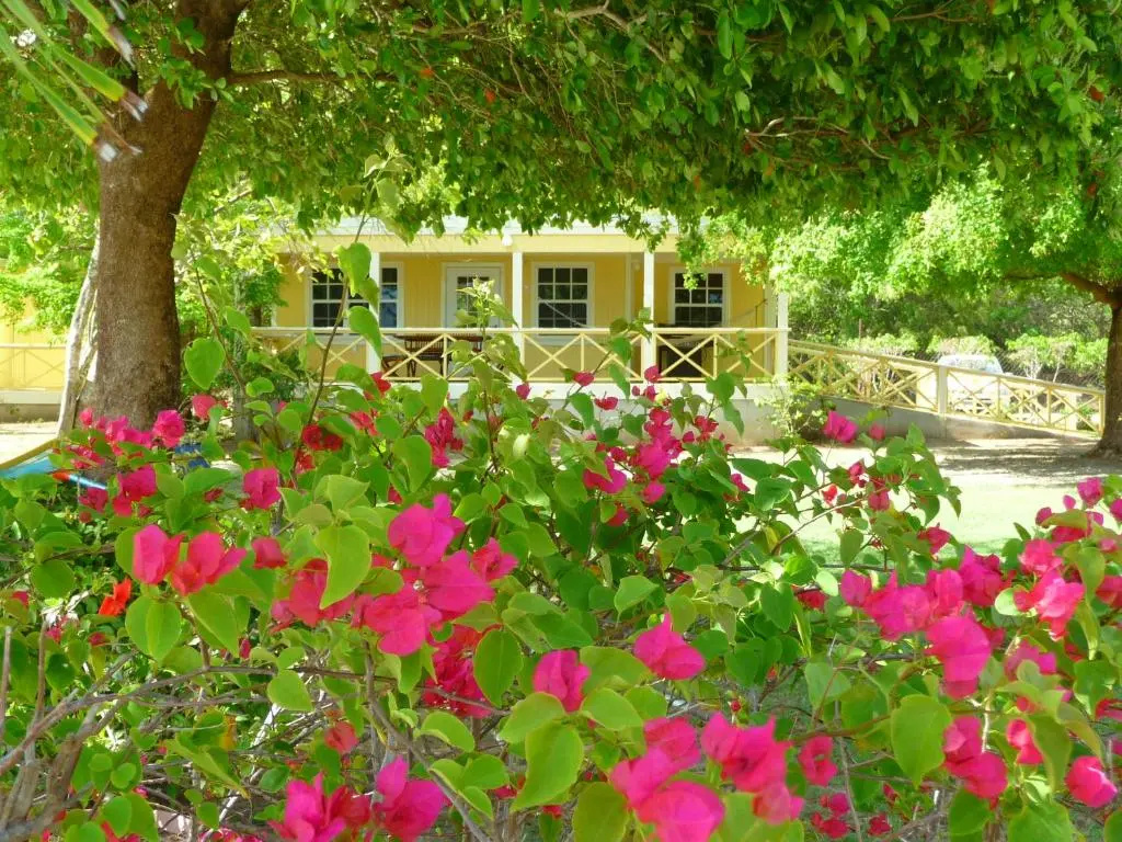 Superior Cottage