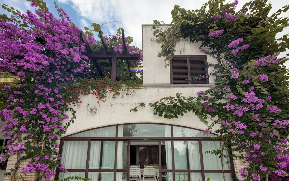 Apartments Sinisa