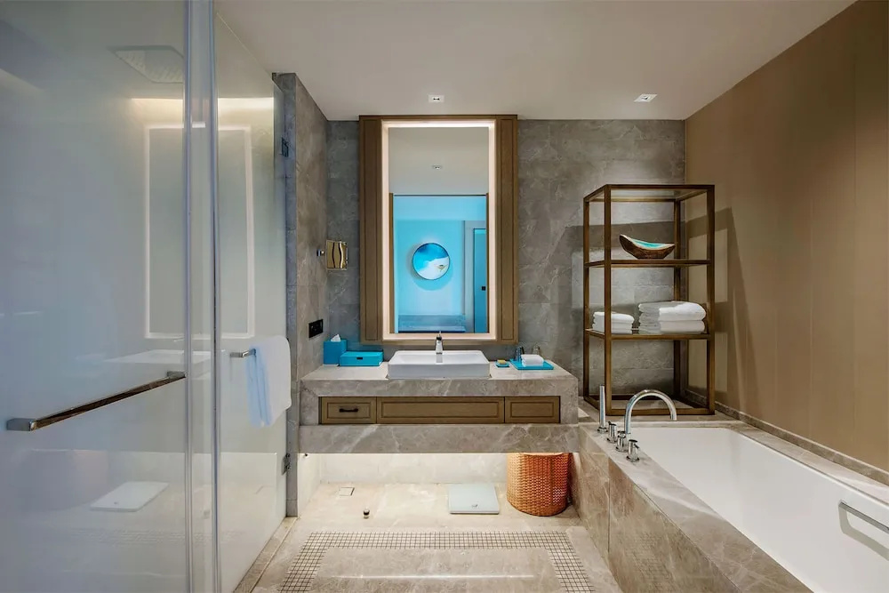 Premium Double room with balcony (twin beds)