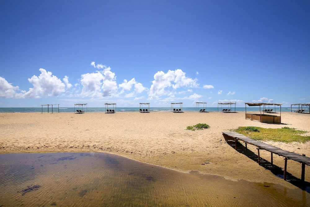 Beach & Waterfront