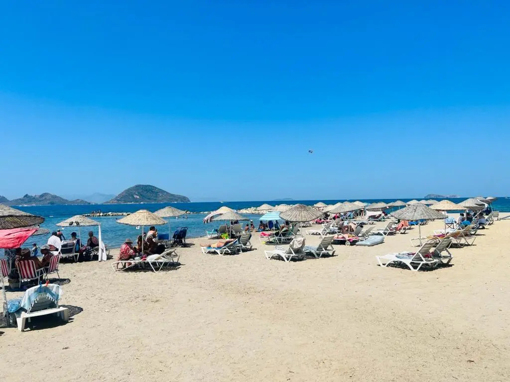 Beach & Waterfront