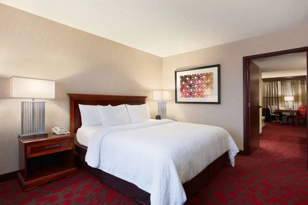 Embassy Suites by Hilton Dulles Airport - Chambres