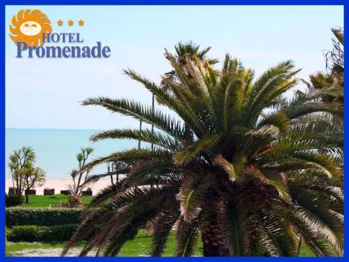 Beach & Waterfront
