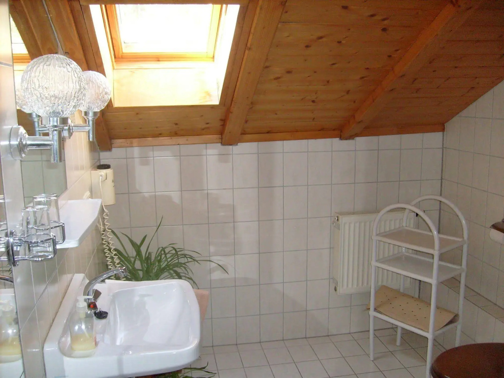 Schwarzwaldhotel-Gasthof Hirsch - Général
