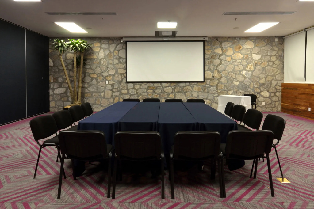 Holiday Inn Express Pachuca by IHG - Général