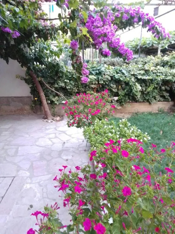 Apartment Anđelka