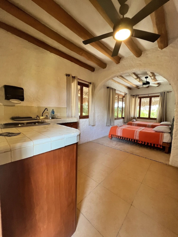 Quadruple Apartment with garden view