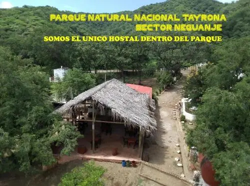 Hostal Olas Club De Neguanje - P Tayrona