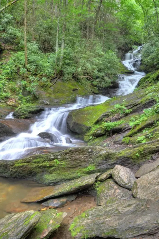 Albert's Lodge at Mt. Mitchell - фото 23