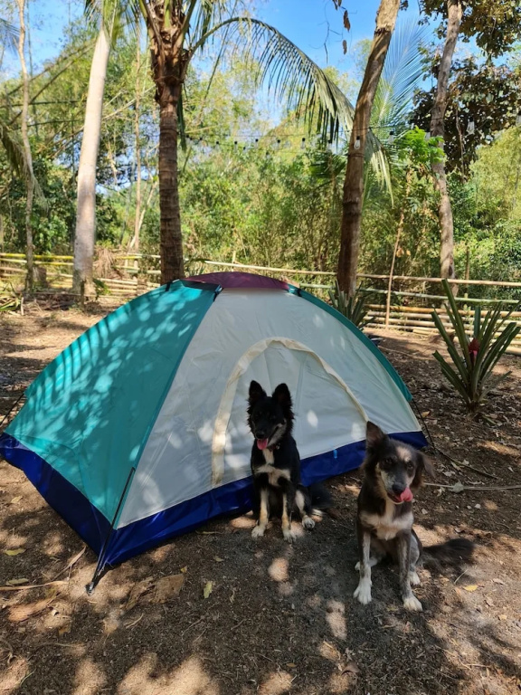 Tent