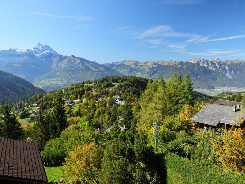 Chalet Zan-Fleuron - фото 30