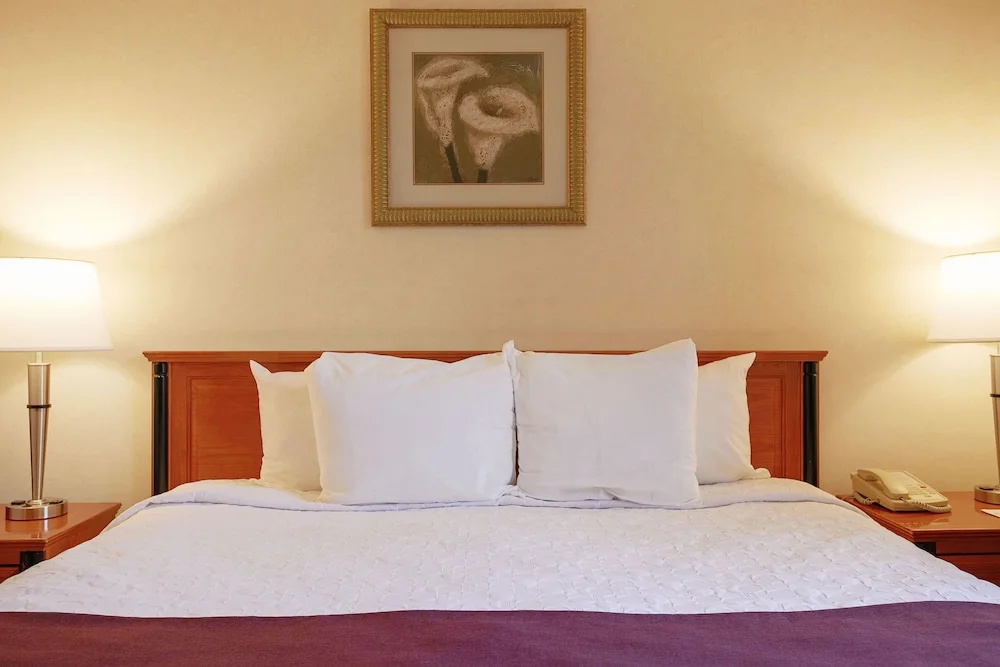 Hotel St-Denis - Chambres
