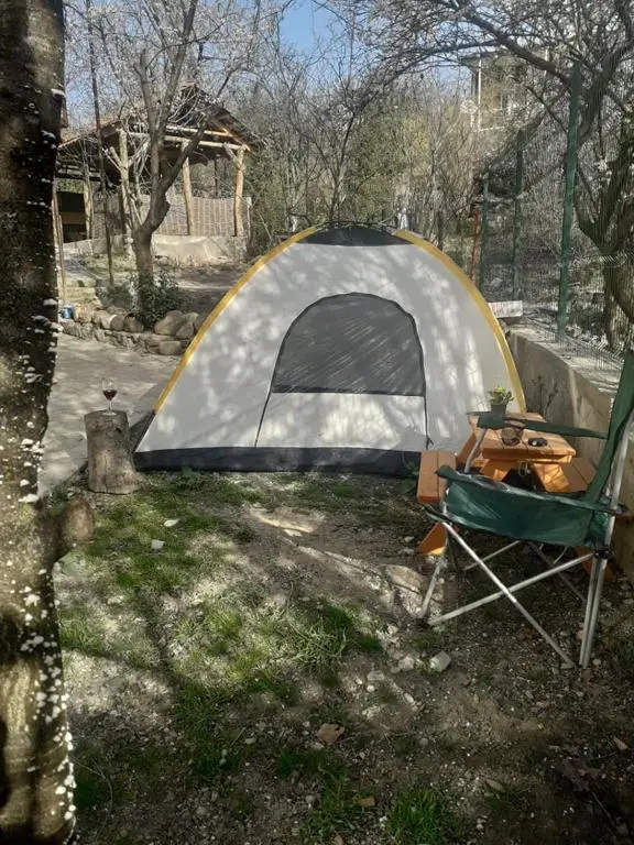 Tent