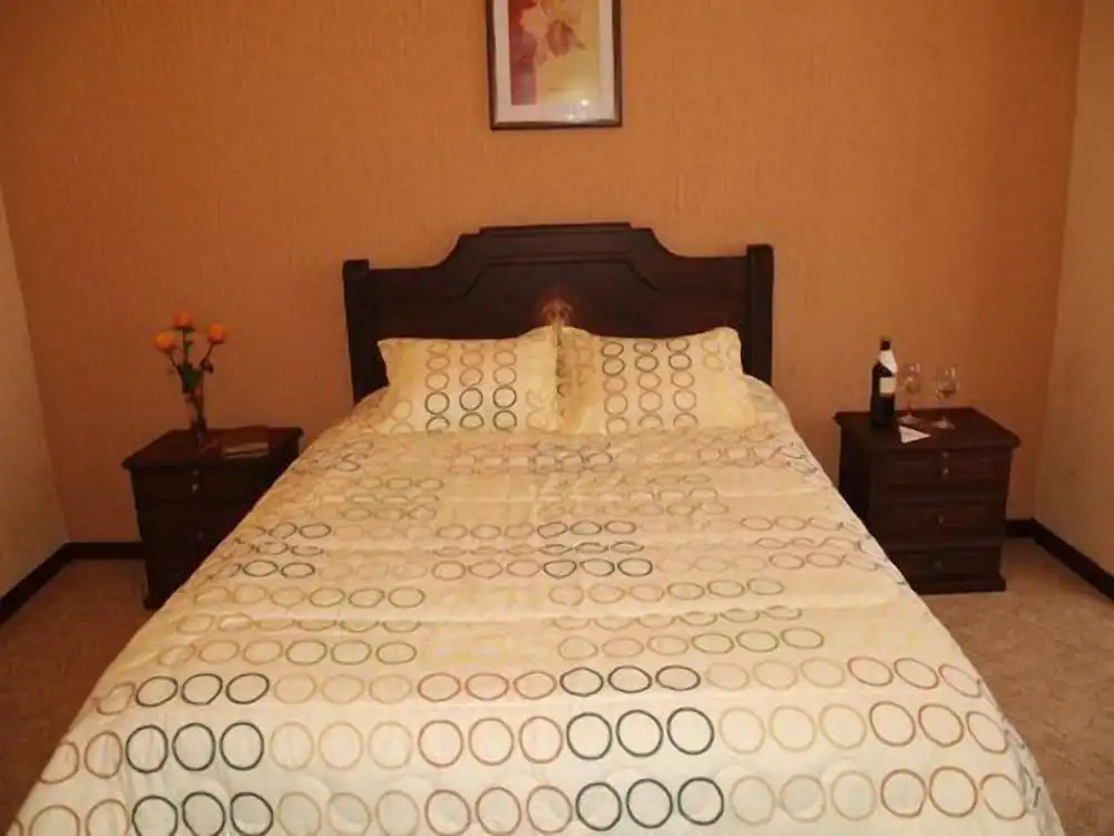 Standard Double room (full double bed)