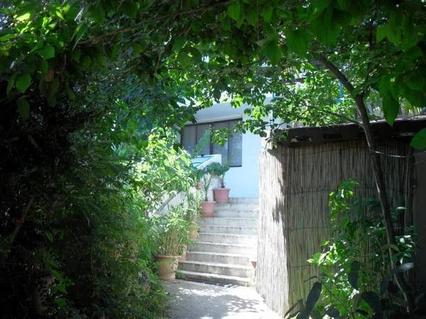 X Hostel Varna