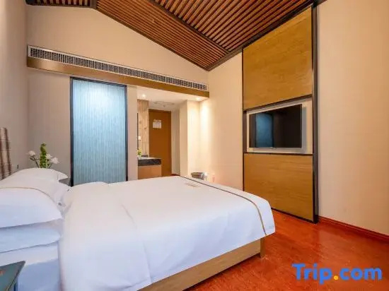 Standard Double room with city view (full double bed)