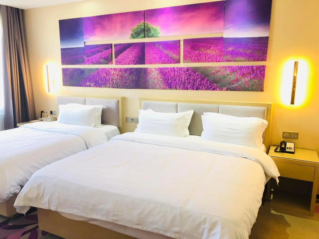 Standard Double room with city view (twin beds)