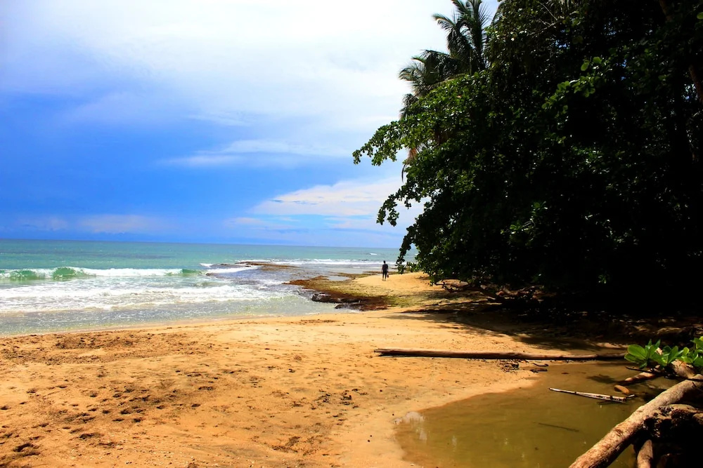 Beach & Waterfront