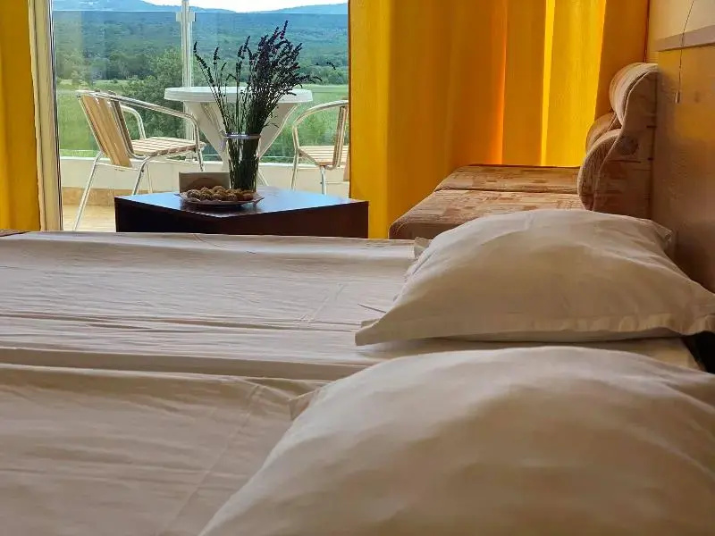 Plamena Palace - Chambres