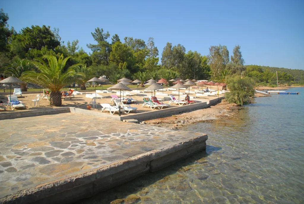 Beach & Waterfront