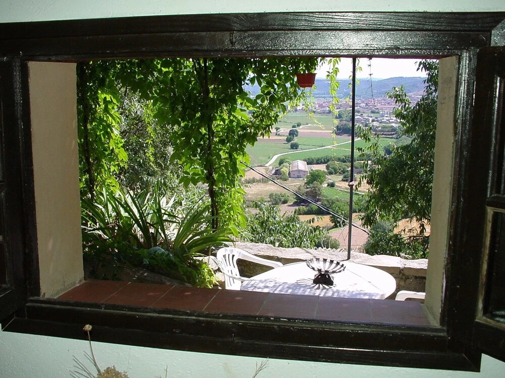 Cal Alejandro