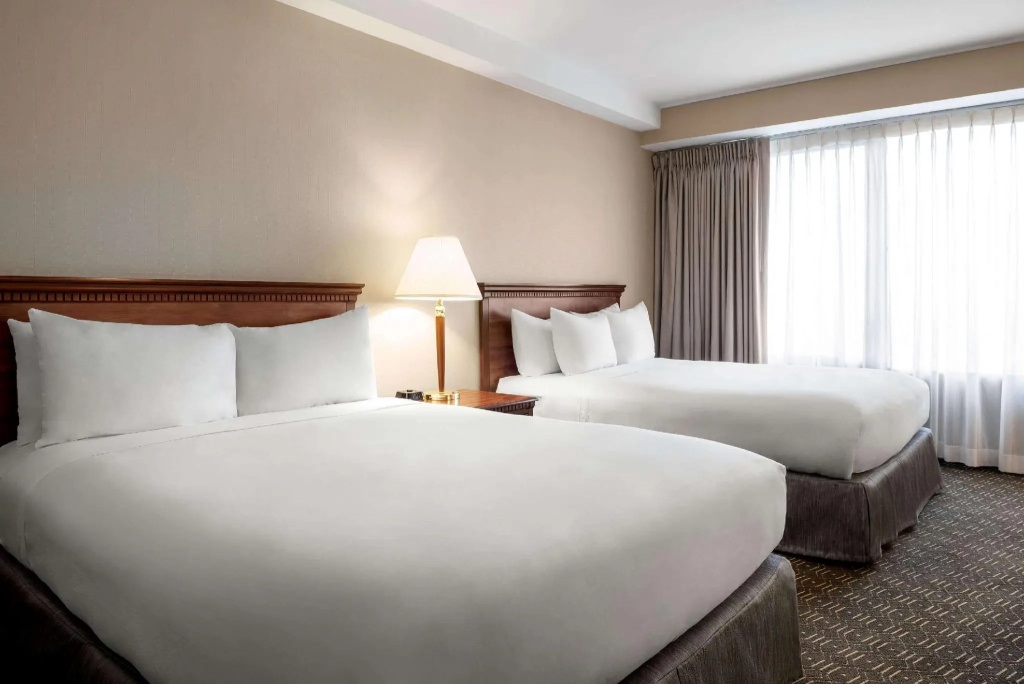 Wyndham Springfield City Centre - Chambres