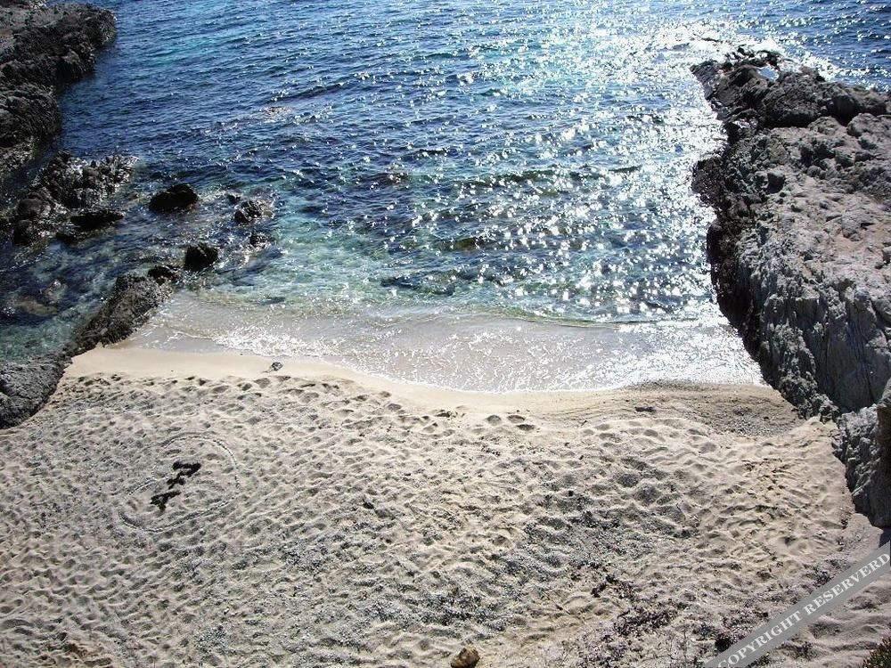 Beach & Waterfront