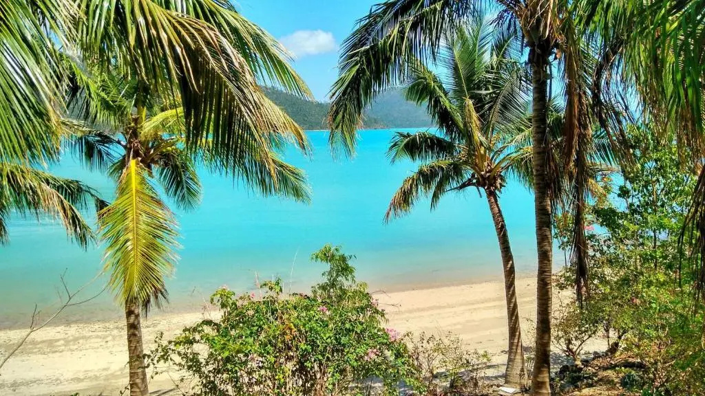 Beach & Waterfront