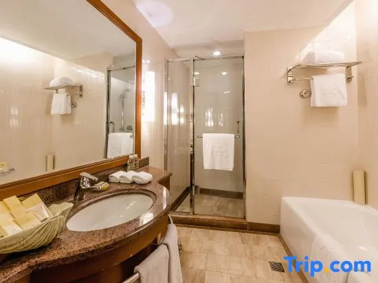 Premier Triple room