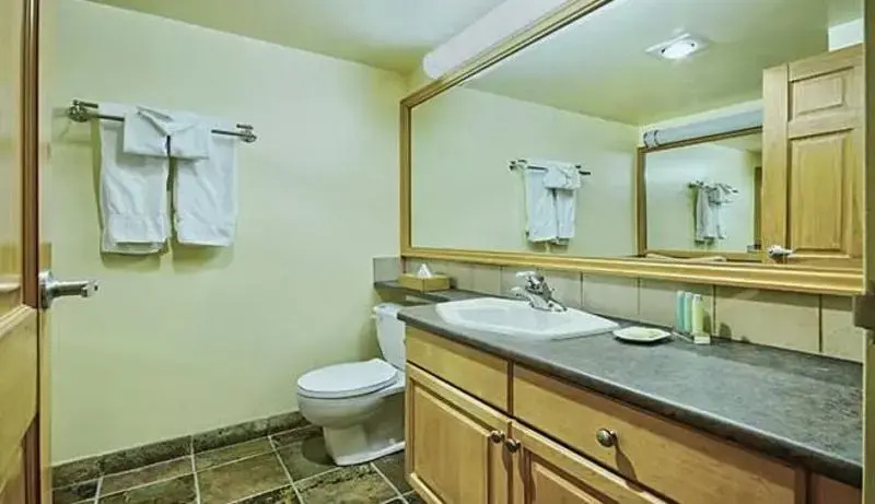 Mountainside Lodge - A Shell Vacations Resort - Chambres