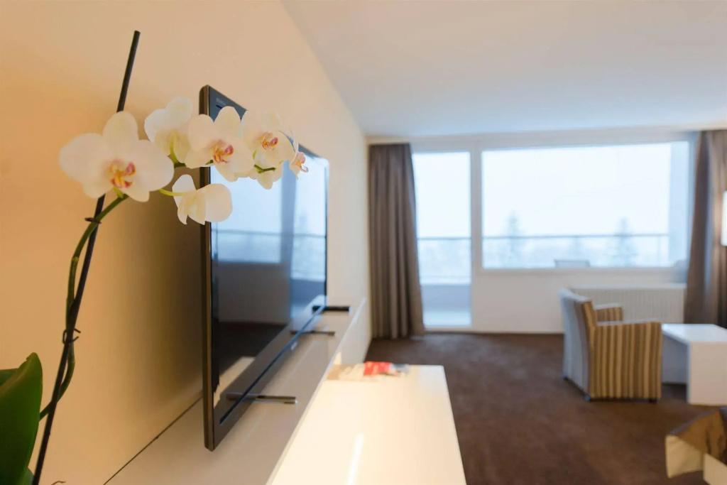 Hotel Waldegg - Adults only - Général
