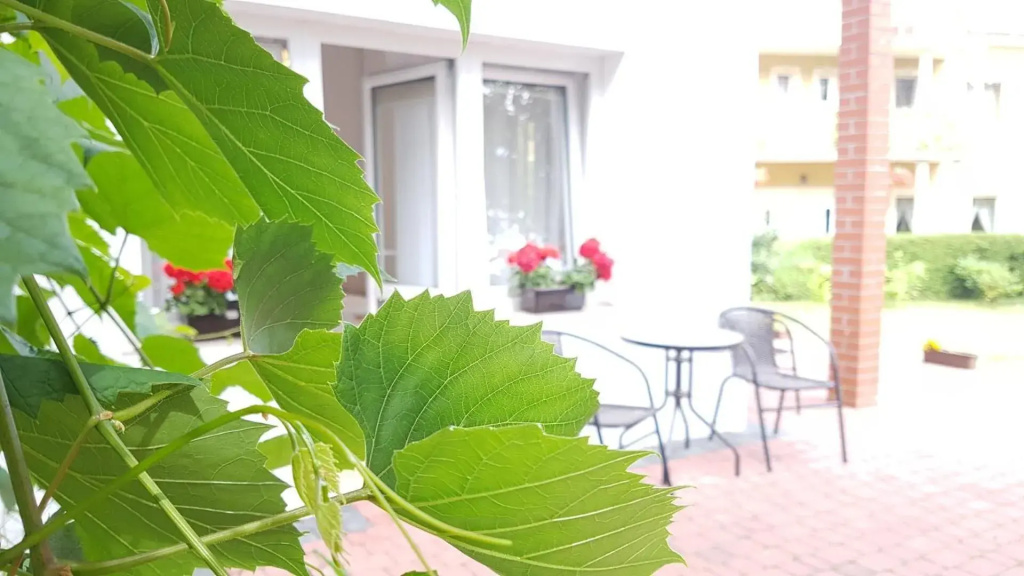 Hotel photo 38