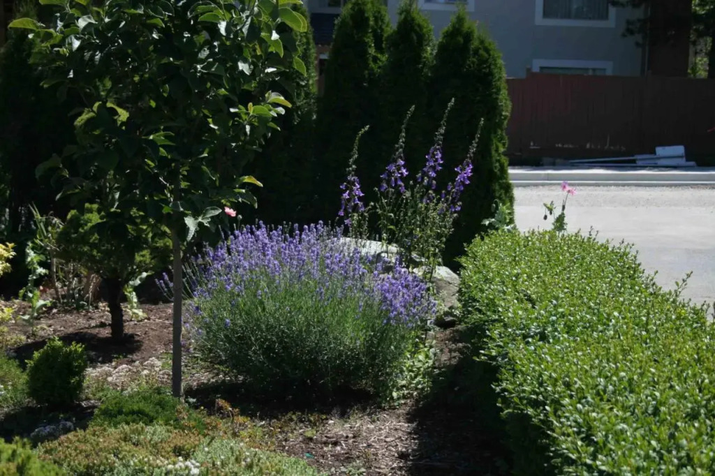 Semi Centre House - фото 44