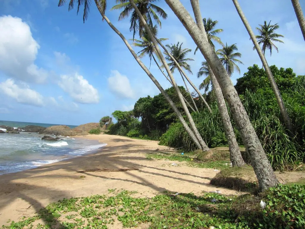 Boutique Villa Shanthi - фото 20