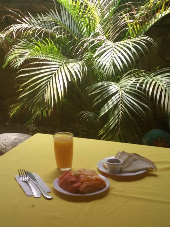 Hotel Casa de Angeles - Général