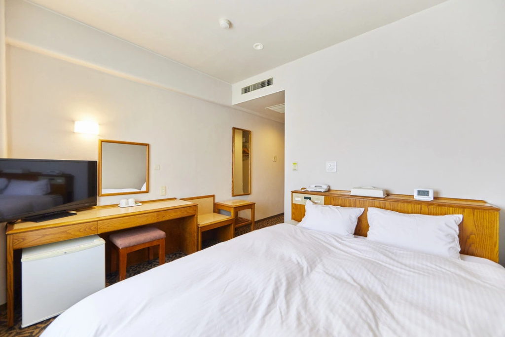 Standard Double room (full double bed)