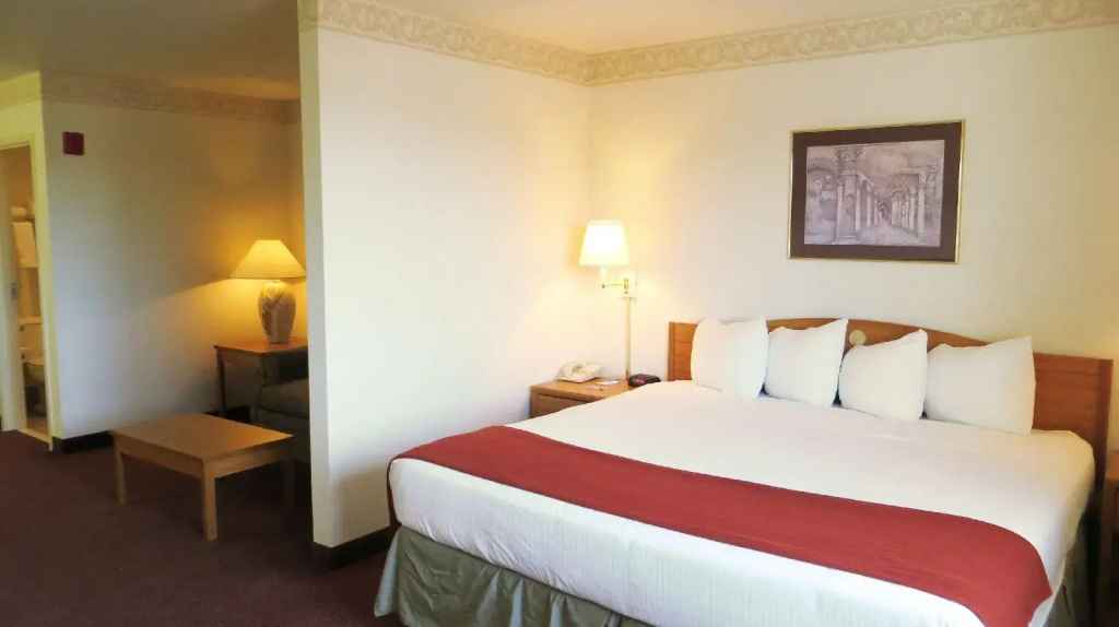 Hotel photo 12