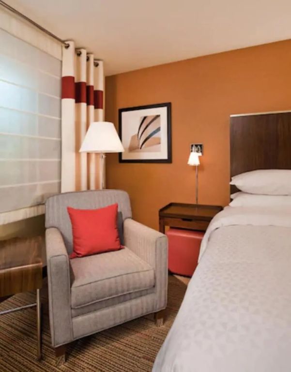 1 Bedroom Suite