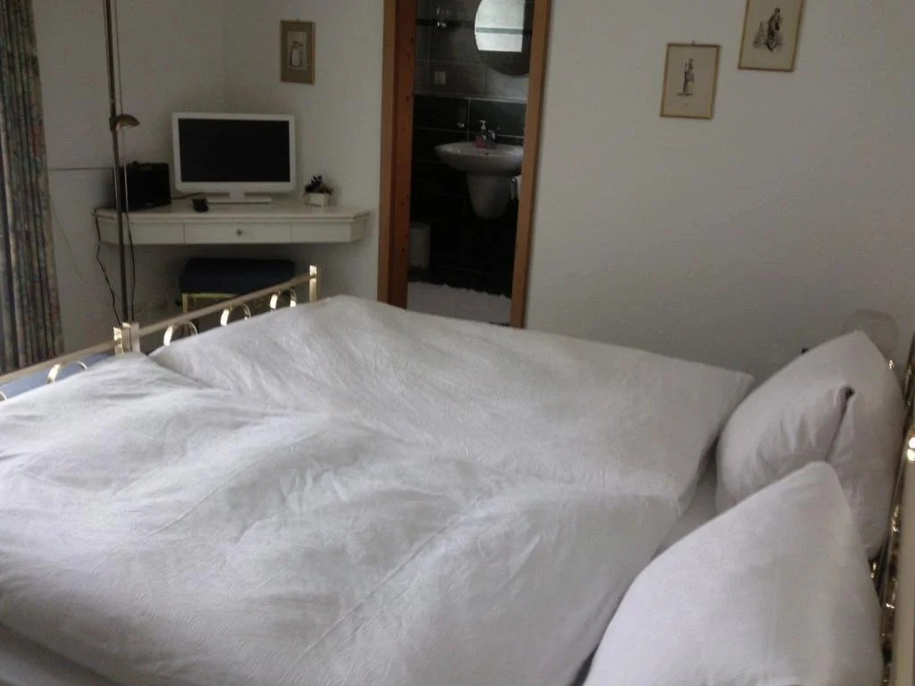 Auberge la Puce