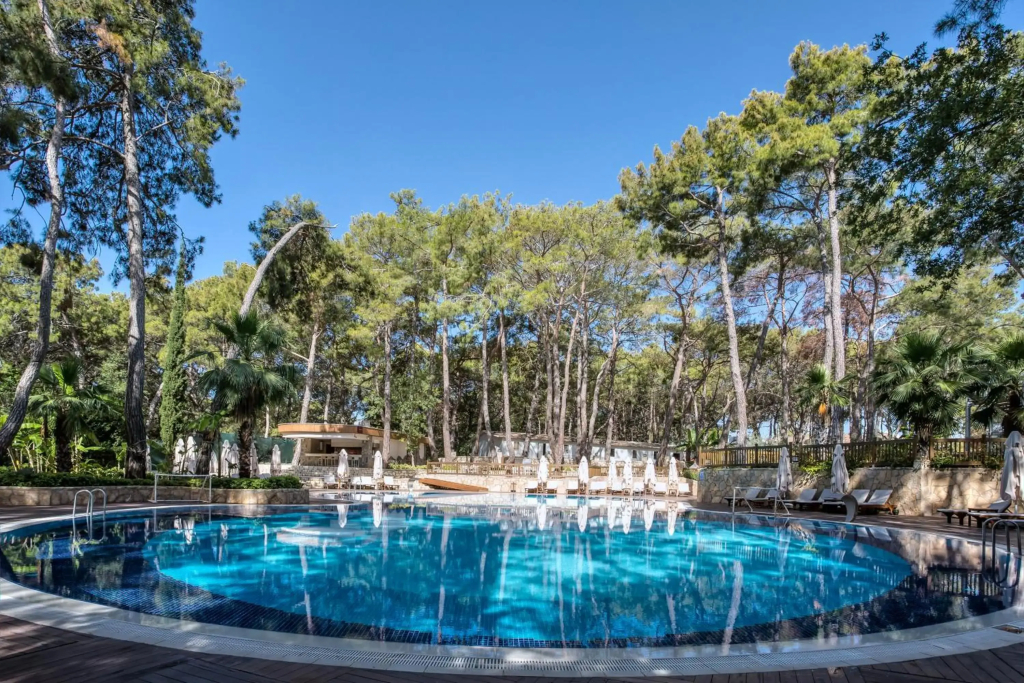 Wome Deluxe - фото 14