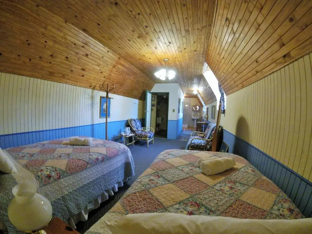 Deluxe Double room (twin beds)