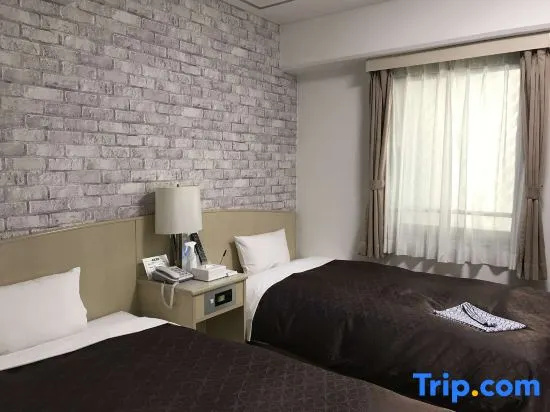 Standard Double room with city view (twin beds)