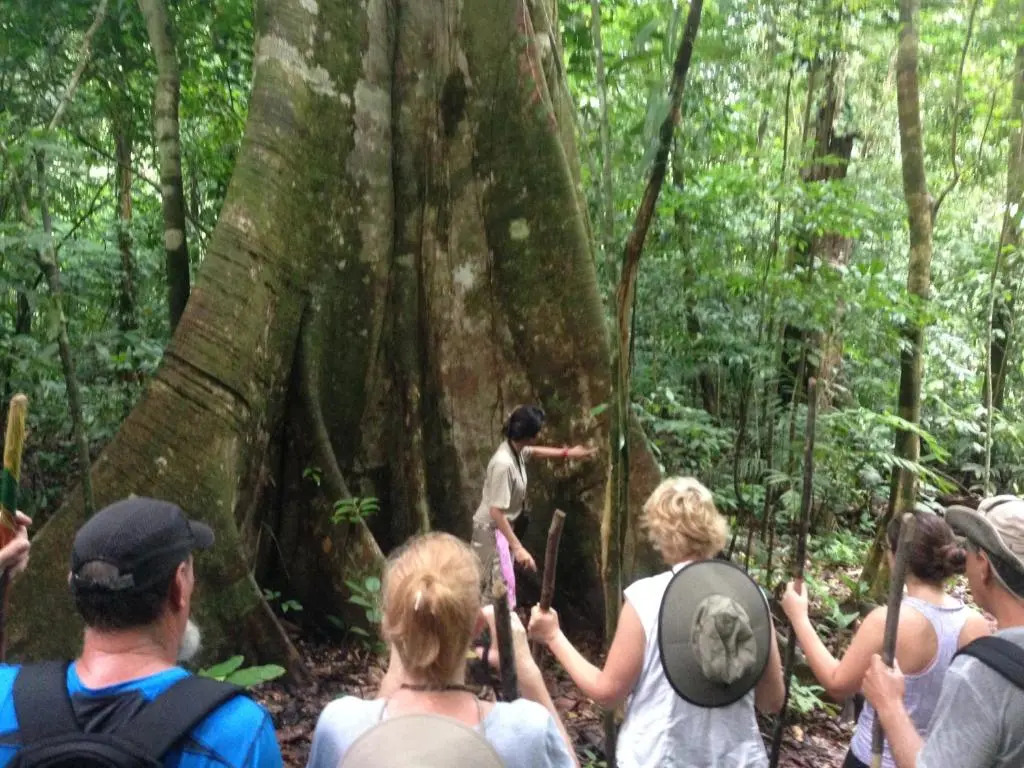 Saladero Eco Lodge - фото 7