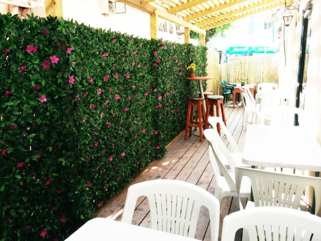Momos Hostel