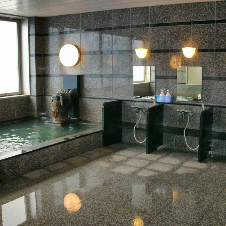 Hotel Sunroute Goshogawara - Général